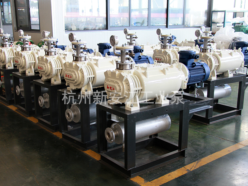 干式螺桿真空泵-杭州新安江工業(yè)泵有限公司 (4)